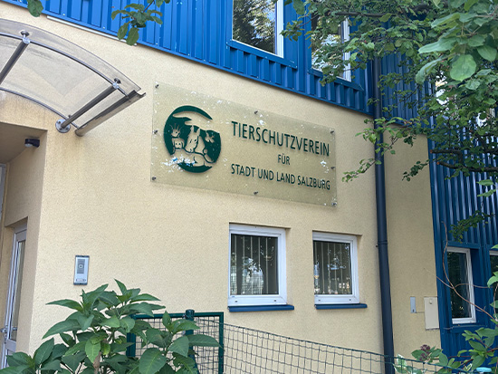 Das Tierheim Salzburg