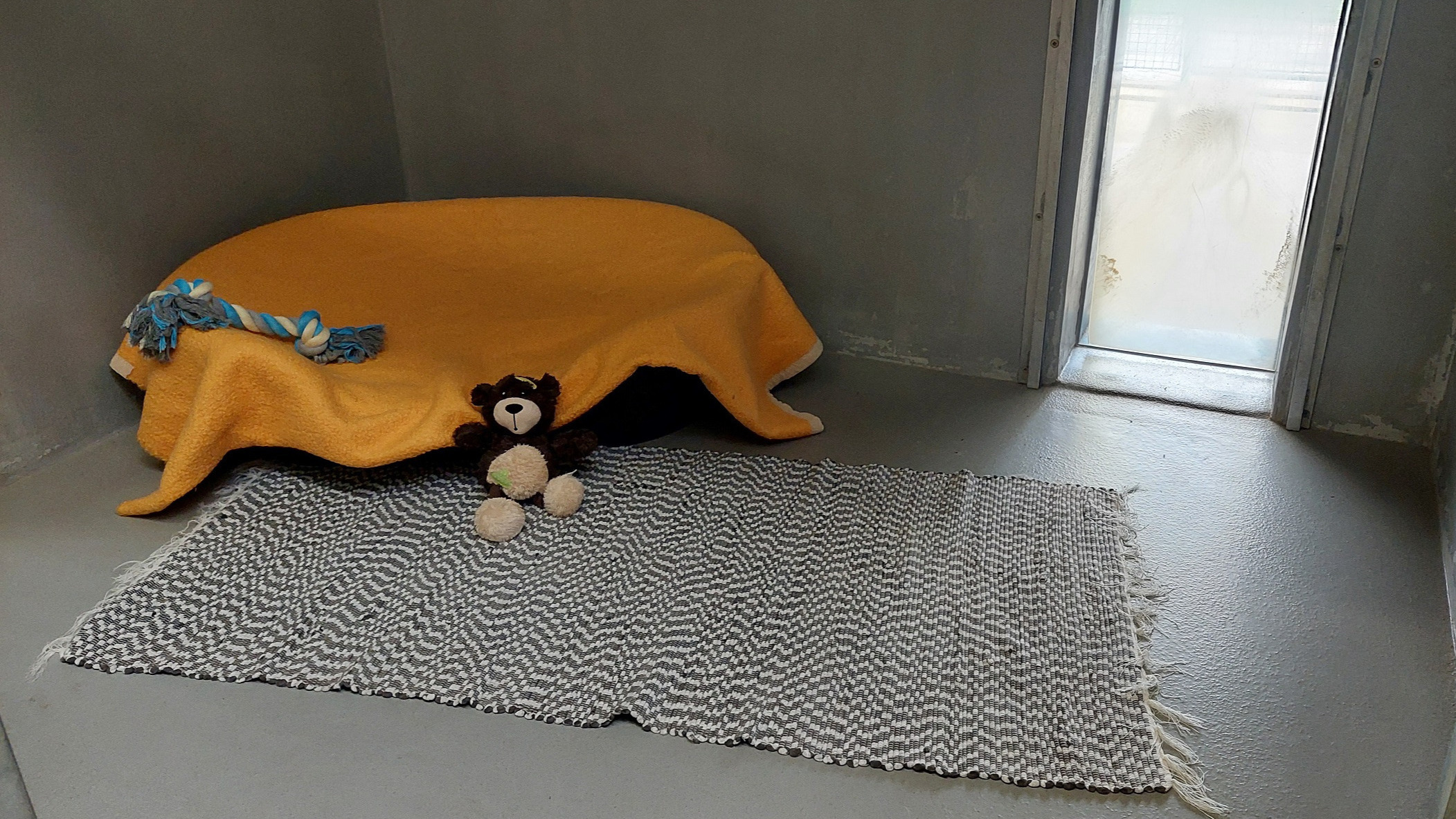 Wir bieten Urlaubspension für Hunde, Katzen und Kleintiere an