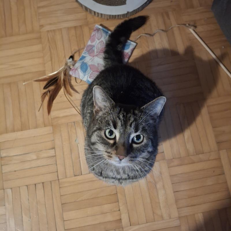 Rückmeldung von Roy