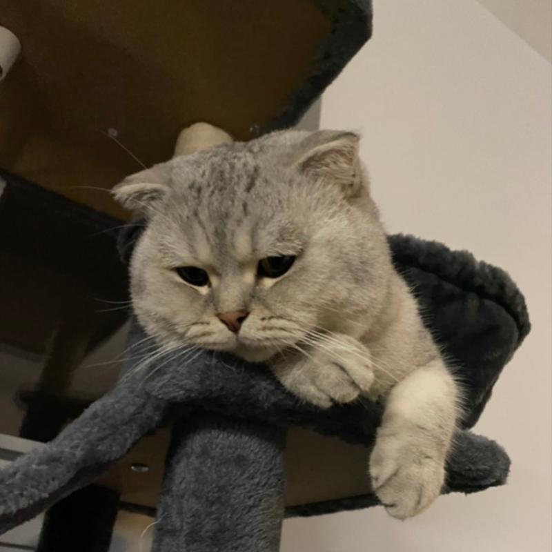 Bounty´s Bericht aus Kitzbühel 