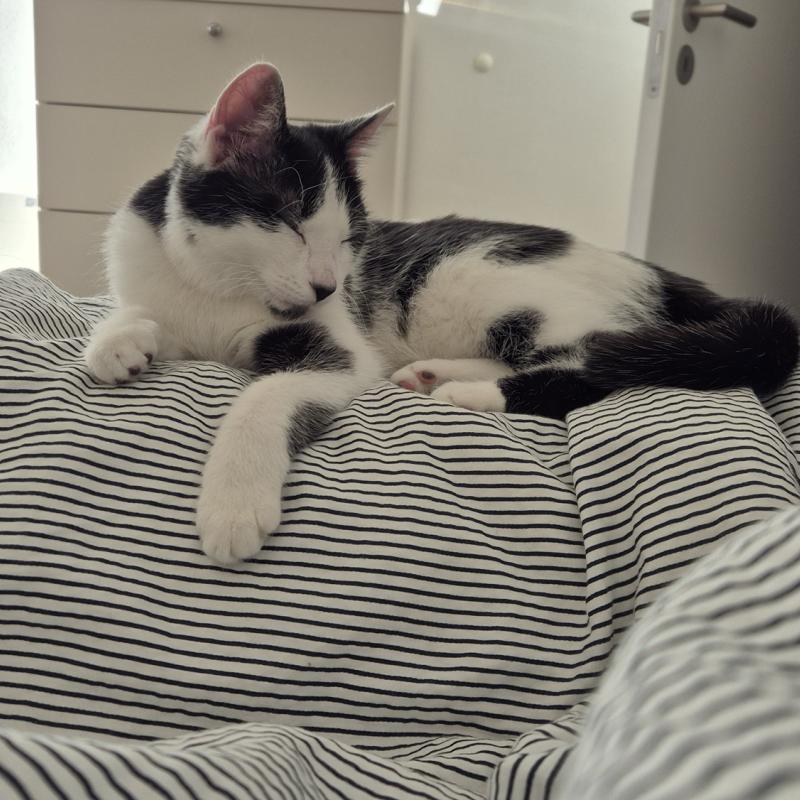 Zoya ist gut angekommen