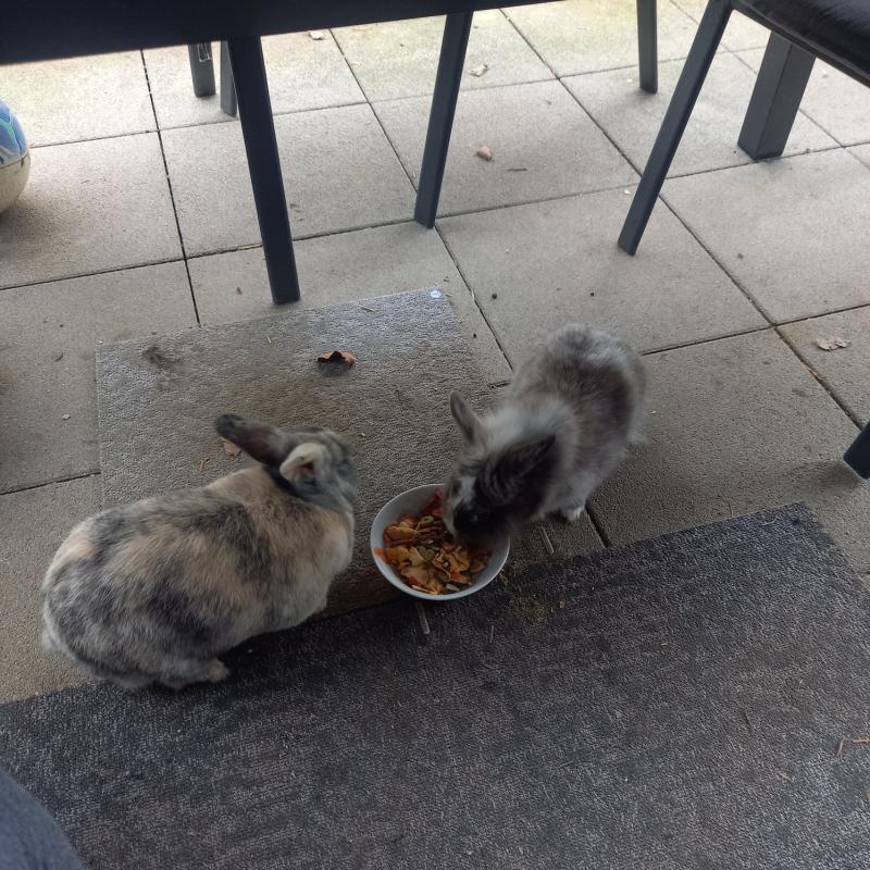 Rückmeldung von Tina