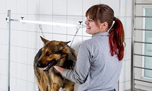 Stellenauschreibung für Tierpfleger/in mit abgeschlossener Berufsausbildung