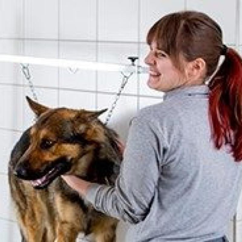 Stellenauschreibung für Tierpfleger/in mit abgeschlossener Berufsausbildung